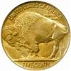 Image 2 : 1925-D Buffalo 5C. MS64 (NGC)