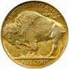 Image 2 : 1926-D Buffalo 5C. MS64 (NGC)