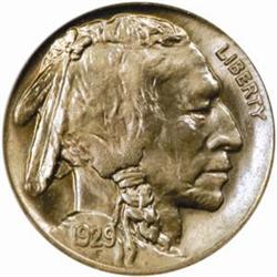 1929-D Buffalo 5C. MS66 (NGC)