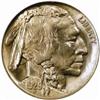 Image 1 : 1929-D Buffalo 5C. MS66 (NGC)