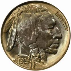 1929-S Buffalo 5C. MS66 * (NGC)