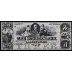 Newton, NJ. The Sussex Bank. $3. CH UNC64.