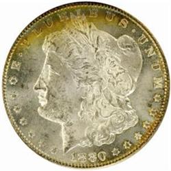 1880-CC Morgan $1. VAM-5, 8/High 7. MS62 (PCGS)