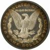 Image 2 : 1884 Morgan Silver $1. PR62 (PCGS)