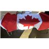 Image 2 : RING TOSS, LAWN DARTS, CANADIAN FLAG AND LIGHT UP PUMPKIN DECORATION