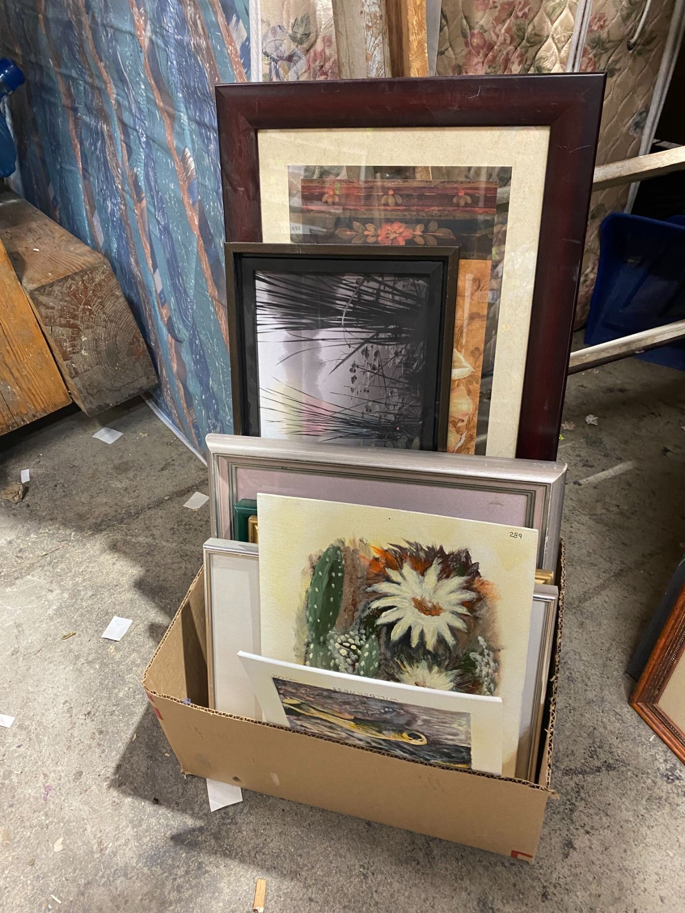 Assorted pictures