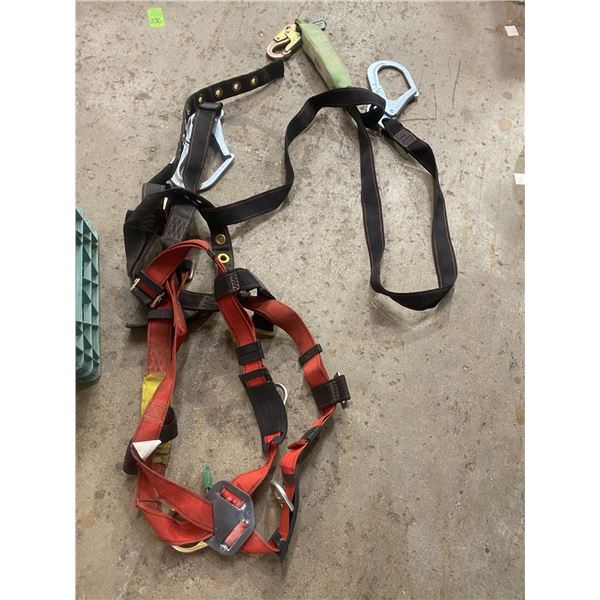 Harnesses