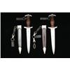 Image 2 : 2 WWII GERMAN SA DAGGERS.