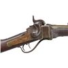 Image 1 : SHARPS NEW MODEL 1859 BERDAN SHARPSHOOTERS