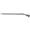 Image 2 : UNMARKED FLINTLOCK MUSKET.