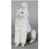 Image 1 : RARE LLADRO POODLE #325.13, also known as can