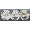 Image 2 : SET OF TEN EXCEPTIONAL RUSSIAN CABINET PLATES