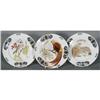 Image 3 : SET OF TEN EXCEPTIONAL RUSSIAN CABINET PLATES