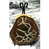 Image 1 : Large Natural Moroccan Dragon's Stone Septarian Nodule Display Specimen