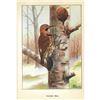Image 2 : 1920's Flicker Color Lithograph Print
