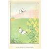 Image 2 : 1920's Falcate Orange-Tip Butterfly Color Lithograph
