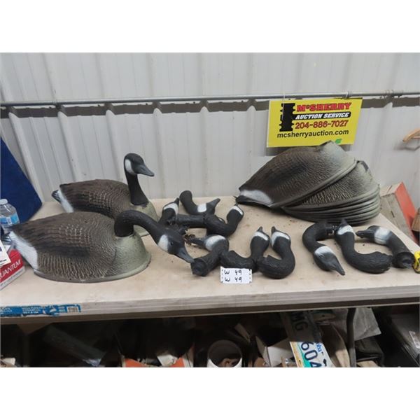 (W) 12 Canada Goose Decoys
