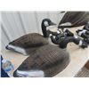 Image 3 : (W) 12 Canada Goose Decoys