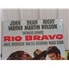 Image 2 : Rio Brave Movie Display - Modern