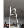 Image 3 : Alum Ext Ladder