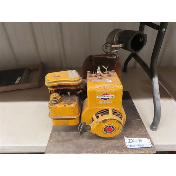 Briggs & Stratton 3HP 2' Pump