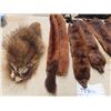 Image 3 : 5 Mink Stolls, Leather Purse & Raccoon Hat