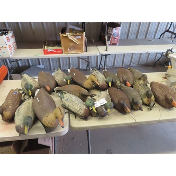(W) 18 Floating Duck Decoys
