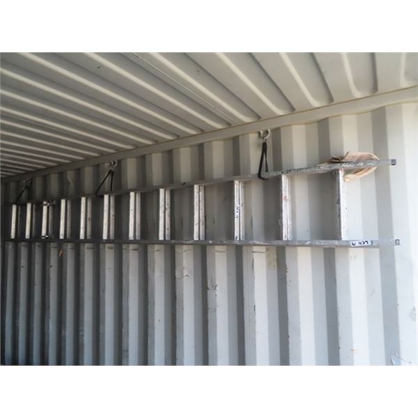 (W) Alum Ext Ladder