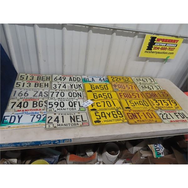 Approx 25 MB License Plates 1950's & Up