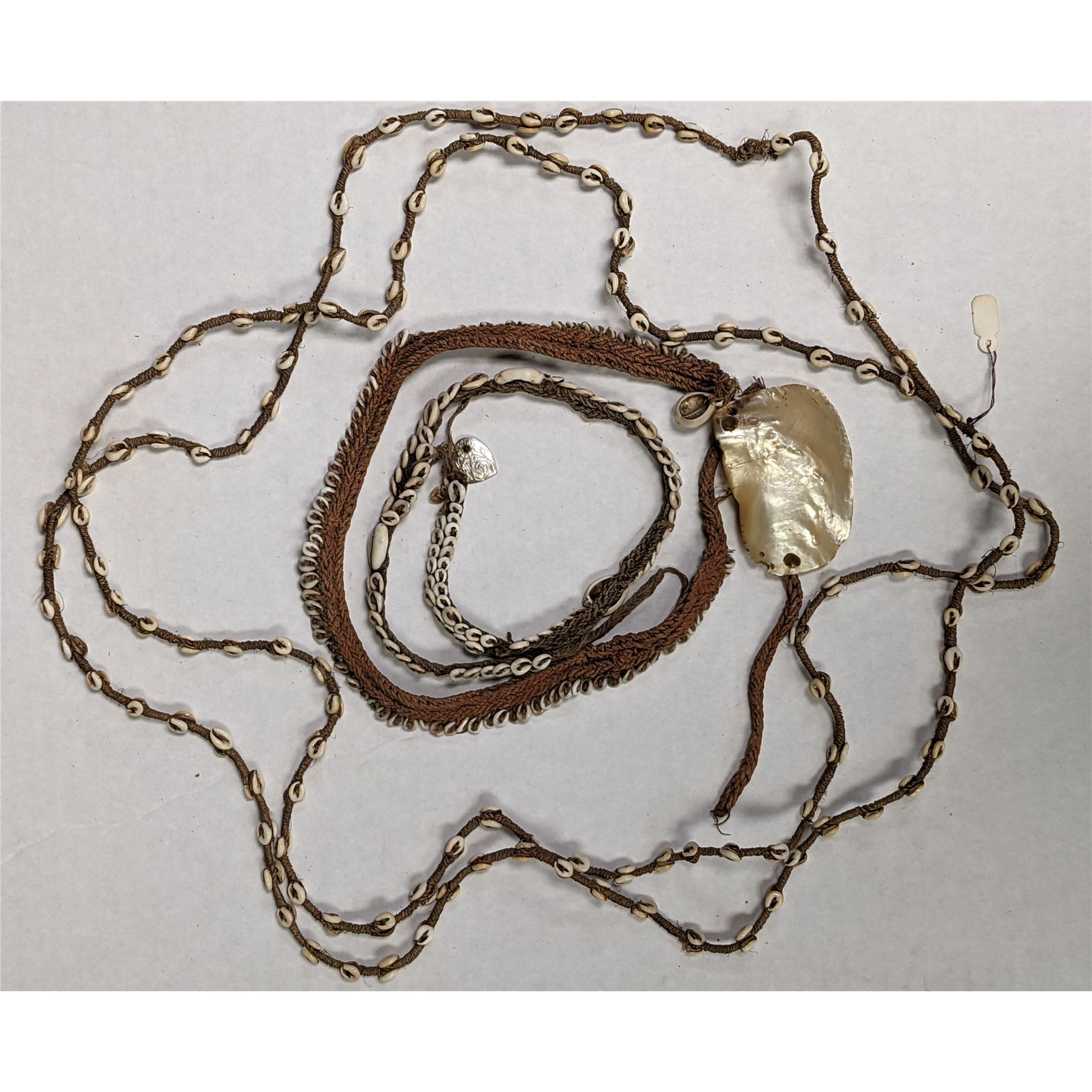 ETHNOGRAPHIC: PACIFIC: PAPUA NEW GUINEA: LOT of 3 nassa shell bands