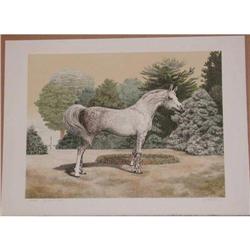 Mel Hunter, Arabian, Signed Lithograph #2188797