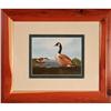 Image 1 : "Canada Geese Family" print by A.J. Rudisill #2204137