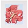Image 1 : Nesbitt Lowell Iris Lithograph #2204393