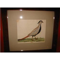 E. Albin original hand colored print #2233665
