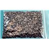 Image 1 : 6)  LOT OF 100 GRAMS OF NATURAL POLISHED