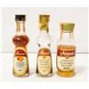 Image 1 : 3 MINI BOTTLE LOT OF APRICOT FLAVOURED BRANDY