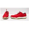 Image 1 : COLLECTIBLE DESIGNER NIKE AIR JORDAN FUTURE