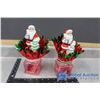 Image 12 : Variety of Santa Decor