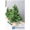 Image 2 : (3) Small Christmas Trees - BID PRICE X3