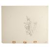 Image 1 : Peter Pan production drawing from Peter Pan