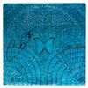 Image 1 : Carlos Santana Signed Album