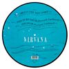 Image 2 : Nirvana Signed Picture Disc