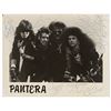Image 1 : Pantera Signed Photograph