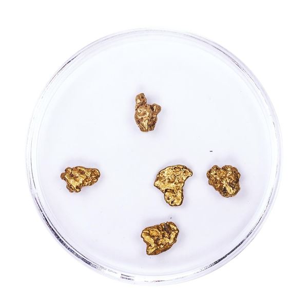 Lot of Gold Nuggets 2.35 grams Total Weight