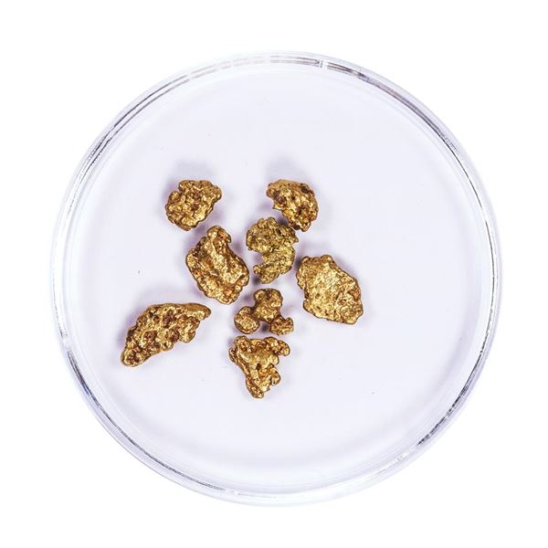 Lot of Gold Nuggets 2.88 grams Total Weight