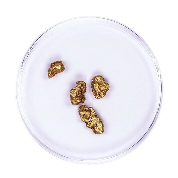 Lot of Gold Nuggets 2.10 grams Total Weight