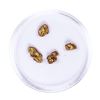Image 2 : Lot of Gold Nuggets 2.10 grams Total Weight