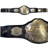 Image 1 : GEORGE ST. PIERRE SIGNED UFC CHAMPIONSHIP BELT ( FROZEN POND COA)