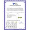 Image 2 : Genuine 3.25 ctw Peridot Earrings 14KT Rose Gold - REF-29H2X