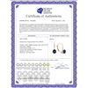 Image 2 : Genuine 1.20 ctw Sapphire Earrings 14KT Yellow Gold - REF-27X2M